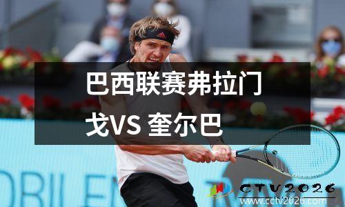 巴西联赛弗拉门戈VS 奎尔巴