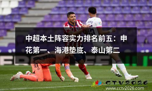 中超本土阵容实力排名前五：申花第一、海港垫底、泰山第二