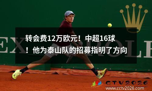 转会费12万欧元！中超16球！他为泰山队的招募指明了方向