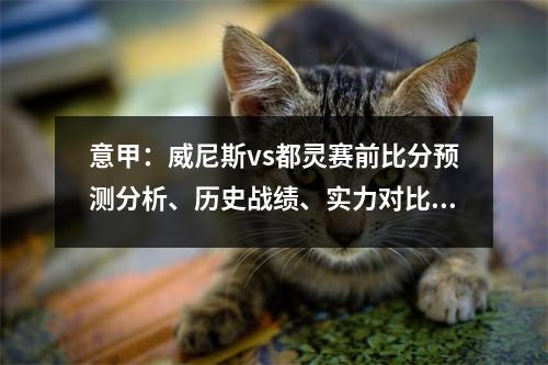 意甲：威尼斯vs都灵赛前比分预测分析、历史战绩、实力对比数据