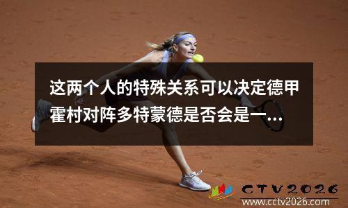 这两个人的特殊关系可以决定德甲霍村对阵多特蒙德是否会是一场默契的比赛。