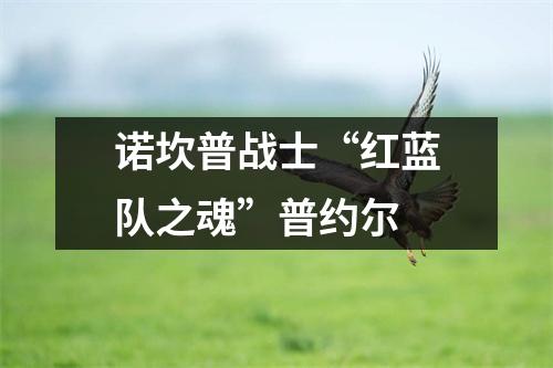 诺坎普战士“红蓝队之魂”普约尔