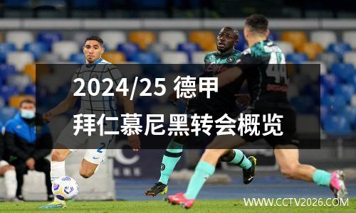 2024/25 德甲拜仁慕尼黑转会概览