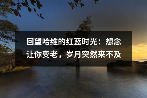 回望哈维的红蓝时光：想念让你变老，岁月突然来不及