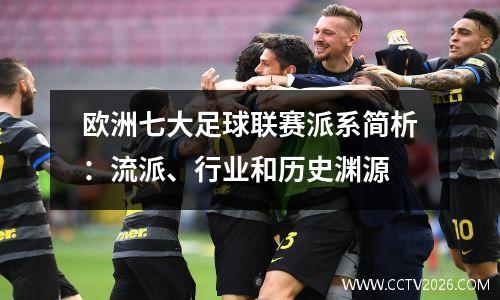 欧洲七大足球联赛派系简析：流派、行业和历史渊源