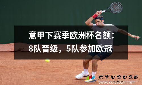 意甲下赛季欧洲杯名额：8队晋级，5队参加欧冠