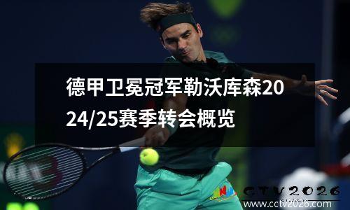 德甲卫冕冠军勒沃库森2024/25赛季转会概览