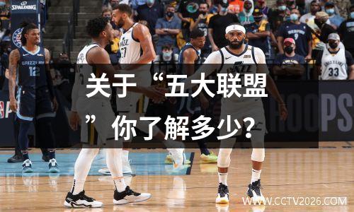 关于“五大联盟”你了解多少？