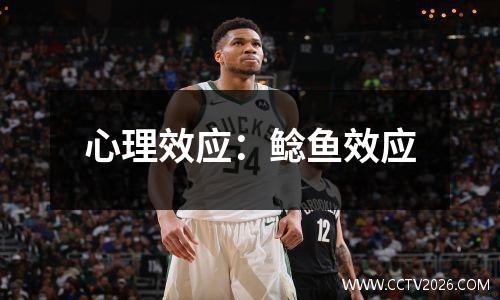 心理效应：鲶鱼效应