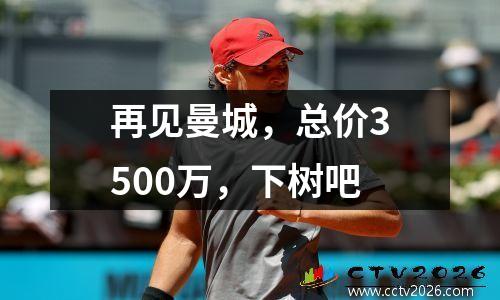再见曼城，总价3500万，下树吧
