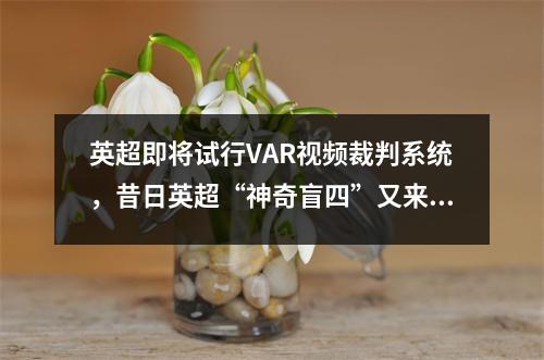 英超即将试行VAR视频裁判系统，昔日英超“神奇盲四”又来了