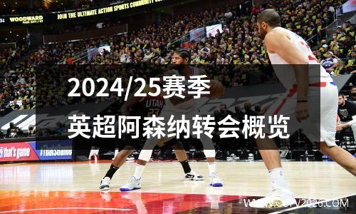 2024/25赛季英超阿森纳转会概览
