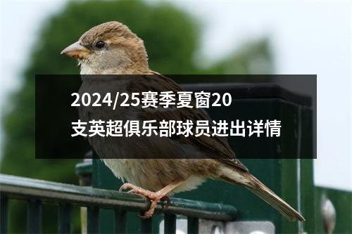 2024/25赛季夏窗20支英超俱乐部球员进出详情