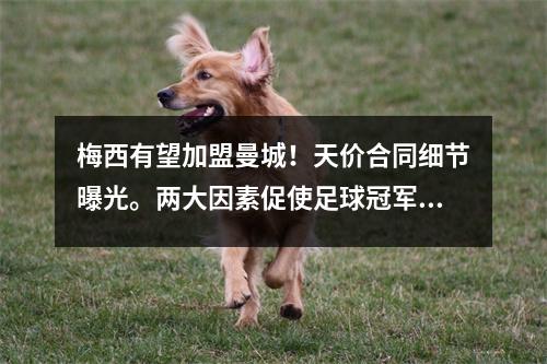 梅西有望加盟曼城！天价合同细节曝光。两大因素促使足球冠军转会