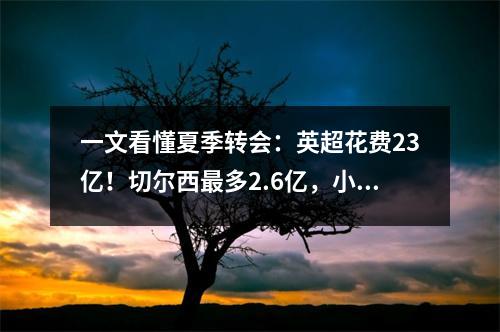 一文看懂夏季转会：英超花费23亿！切尔西最多2.6亿，小蜘蛛才是王者