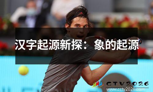 汉字起源新探：象的起源