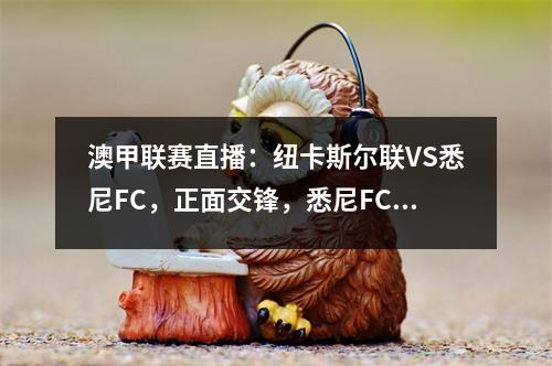 澳甲联赛直播：纽卡斯尔联VS悉尼FC，正面交锋，悉尼FC惨胜喷气机