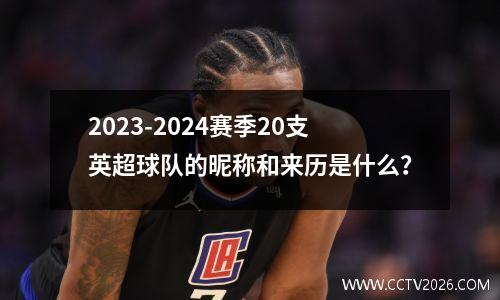 2023-2024赛季20支英超球队的昵称和来历是什么？