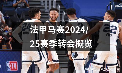 法甲马赛2024/25赛季转会概览