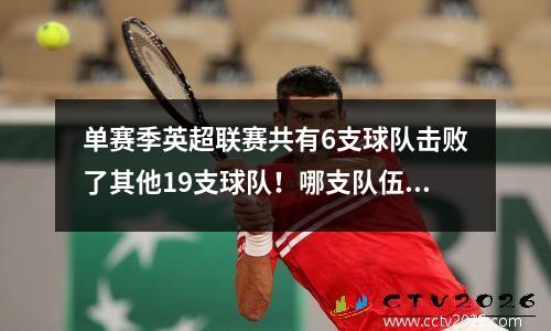 单赛季英超联赛共有6支球队击败了其他19支球队！哪支队伍更强？