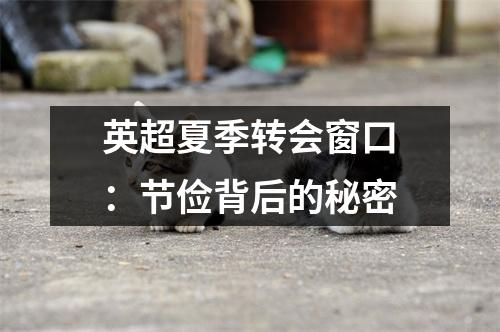 英超夏季转会窗口：节俭背后的秘密
