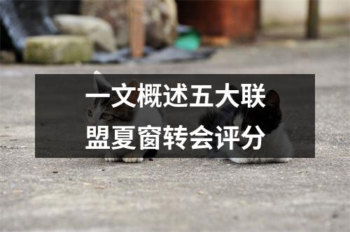 一文概述五大联盟夏窗转会评分