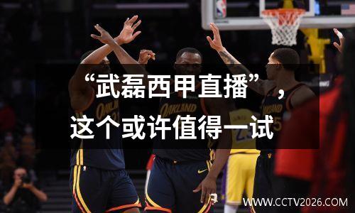 “武磊西甲直播”，这个或许值得一试
