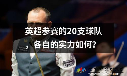 英超参赛的20支球队，各自的实力如何？