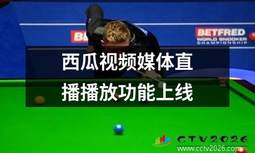 西瓜视频媒体直播播放功能上线
