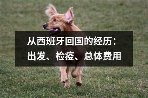 从西班牙回国的经历：出发、检疫、总体费用