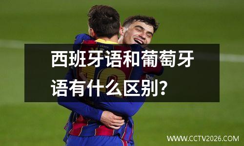 西班牙语和葡萄牙语有什么区别？