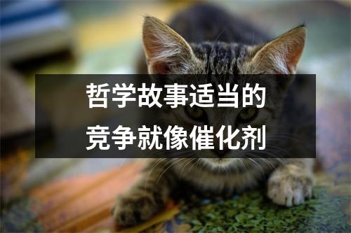 哲学故事适当的竞争就像催化剂