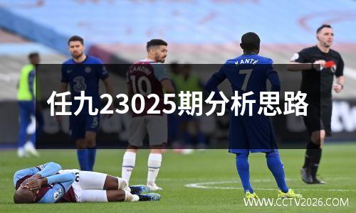任九23025期分析思路