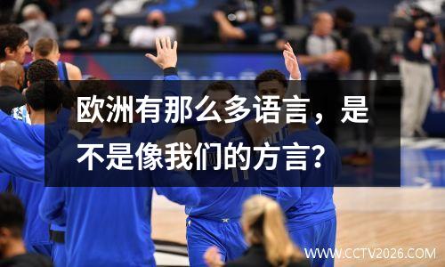 欧洲有那么多语言，是不是像我们的方言？