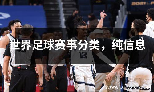 世界足球赛事分类，纯信息