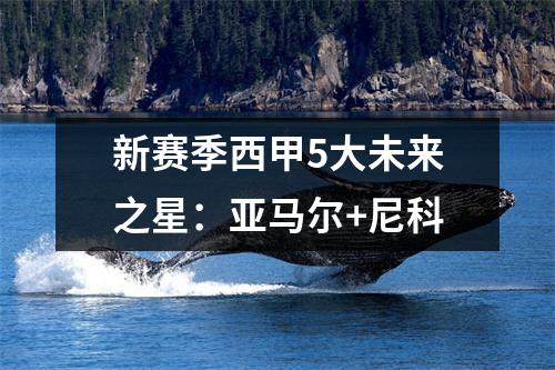 新赛季西甲5大未来之星：亚马尔+尼科