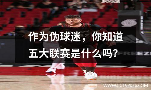 作为伪球迷，你知道五大联赛是什么吗？