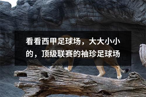 看看西甲足球场，大大小小的，顶级联赛的袖珍足球场