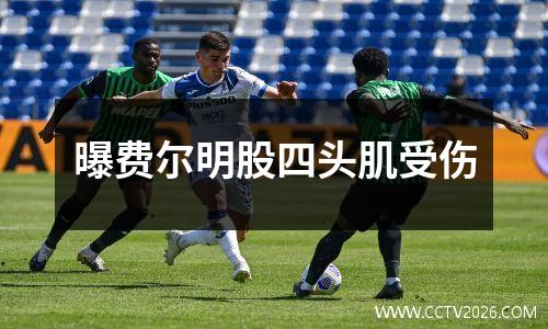 曝费尔明股四头肌受伤