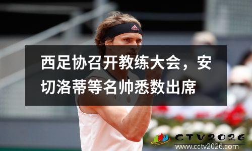 西足协召开教练大会，安切洛蒂等名帅悉数出席