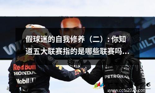 假球迷的自我修养（二）: 你知道五大联赛指的是哪些联赛吗？