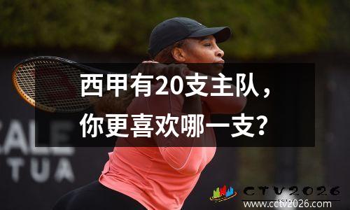 西甲有20支主队，你更喜欢哪一支？