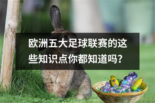 欧洲五大足球联赛的这些知识点你都知道吗？