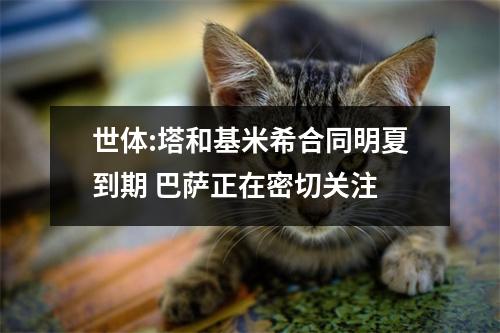 世体:塔和基米希合同明夏到期 巴萨正在密切关注