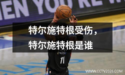 特尔施特根受伤，特尔施特根是谁