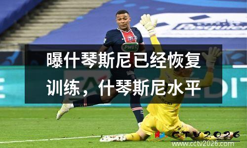 曝什琴斯尼已经恢复训练，什琴斯尼水平