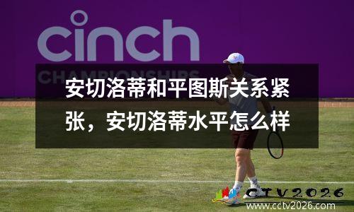 安切洛蒂和平图斯关系紧张，安切洛蒂水平怎么样