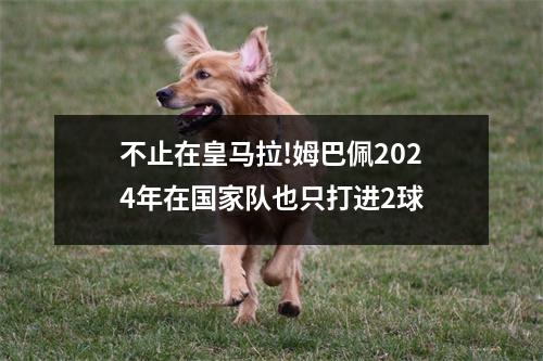 不止在皇马拉!姆巴佩2024年在国家队也只打进2球