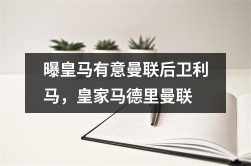 曝皇马有意曼联后卫利马，皇家马德里曼联