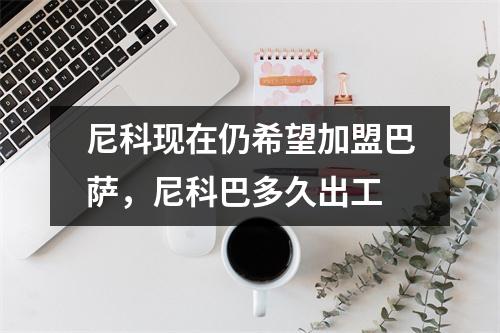 尼科现在仍希望加盟巴萨，尼科巴多久出工